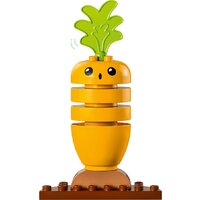 LEGO Duplo 10984 Органический сад Image #5