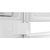 Холодильник Amica BK3045.4 NF - Превью изображения №11 — Интернет-магазин Teono.by