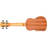 Flight NUS350 DC Image #6