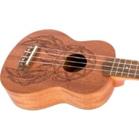 Flight NUS350 DC Image #7