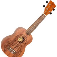 Flight NUS350 DC Image #4