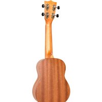 Flight NUS350 DC Image #3