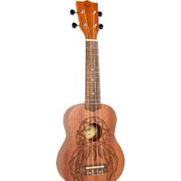 Flight NUS350 DC Image #2