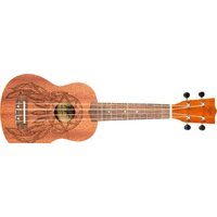 Flight NUS350 DC Image #5