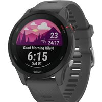 Garmin Forerunner 255 (сланцево-серый/черный) Image #1