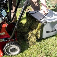 Weibang WB 384RB Image #4