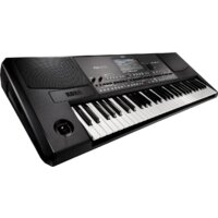 KORG Pa600 Image #4