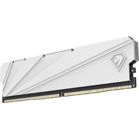 Netac Shadow S 16ГБ DDR4 2666 МГц NTSDD4P26SP-16W Image #3