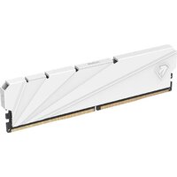 Netac Shadow S 16ГБ DDR4 2666 МГц NTSDD4P26SP-16W Image #2