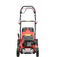 Hecht 543 SW Image #5