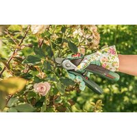 Bosch EasyPrune Image #3