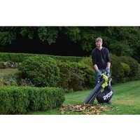 Садовая воздуходувка Ryobi RBV36B [5133002524] - Превью изображения №8 — Интернет-магазин Teono.by