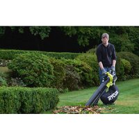 Садовая воздуходувка Ryobi RBV36B [5133002524] - Превью изображения №5 — Интернет-магазин Teono.by
