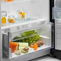 Однокамерный холодильник Electrolux LRS3DE39U - Превью изображения №4 — Интернет-магазин Teono.by