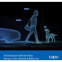 TP-Link Tapo C246D Image #29