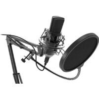 Проводной микрофон Ritmix RDM-169 - Превью изображения №2 — Интернет-магазин Teono.by