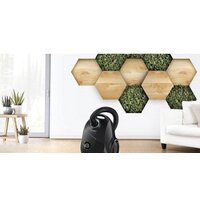 Пылесос Bosch Serie 2 BGLS2BA2 - Превью изображения №4 — Интернет-магазин Teono.by