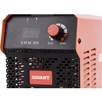 Сварочный инвертор Gigant GWM-250 - Превью изображения №6 — Интернет-магазин Teono.by