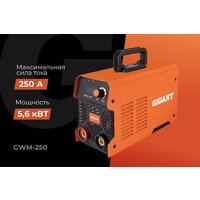 Сварочный инвертор Gigant GWM-250 - Превью изображения №14 — Интернет-магазин Teono.by