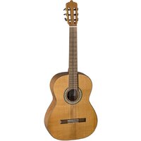 La Mancha Aliso Macizo