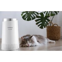 Concept Perfect Air Smart CA1010 Image #16