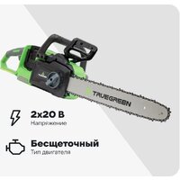 Truegreen TG8J173 (без АКБ)