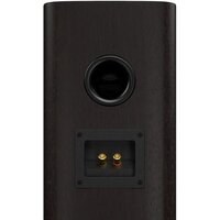JBL Studio 620 (черный) Image #2