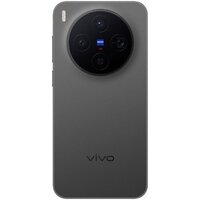 Телефон Vivo X300 V2515 12GB/256GB международная версия (черный) - Превью изображения №2 — Интернет-магазин Teono.by