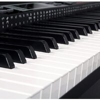 Medeli SP4200 (со стойкой) Image #6