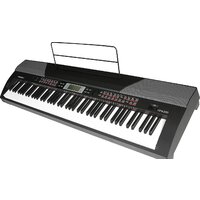 Medeli SP4200 (со стойкой) Image #4