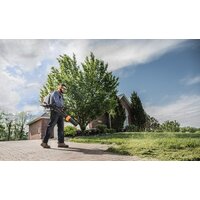 STIHL BR 800 C-E Image #7