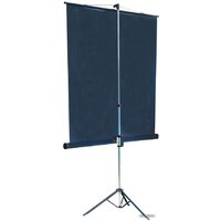 Проекционный экран Lumien Master View 127x127 (LMV-100101) - Превью изображения №2 — Интернет-магазин Teono.by