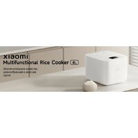 Xiaomi Multifunctional Rice Cooker 4L MFB090-1 (евровилка) Image #2