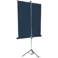 Проекционный экран Lumien Master View 153x153 (LMV-100102) - Превью изображения №2 — Интернет-магазин Teono.by