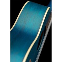 Ortega Earth RUOCEAN Image #4