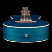 Ortega Earth RUOCEAN Image #5