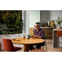 LEGO The Botanical Collection 10373 Мини-деревья бонсай Image #14