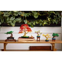LEGO The Botanical Collection 10373 Мини-деревья бонсай Image #11