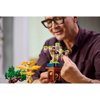 LEGO The Botanical Collection 10373 Мини-деревья бонсай Image #12