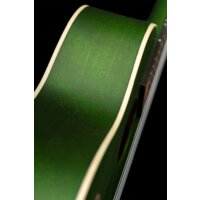 Ortega Earth RUFOREST Image #4