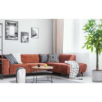 Funai Neko S RAD-N10F3E Image #9